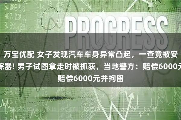 万宝优配 女子发现汽车车身异常凸起，一查竟被安装了跟踪器! 男子试图拿走时被抓获，当地警方：赔偿6000元并拘留