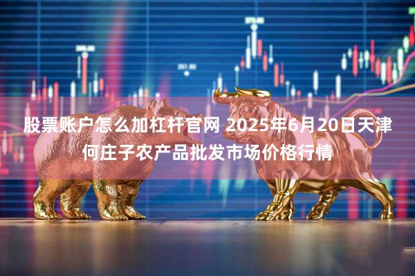 股票账户怎么加杠杆官网 2025年6月20日天津何庄子农产品批发市场价格行情
